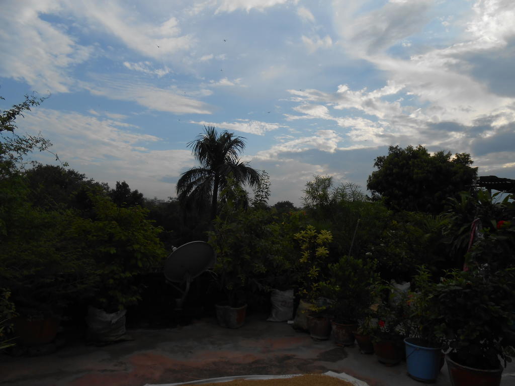 Guest house Maruti